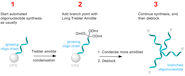 use of trebler amidite to synthesize branched DNA