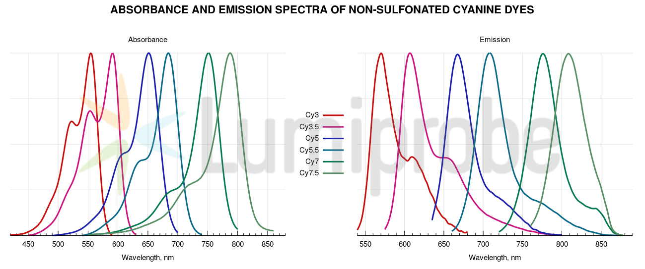 Absorbance and emission spectra of non-sulfonated cyanine dyes