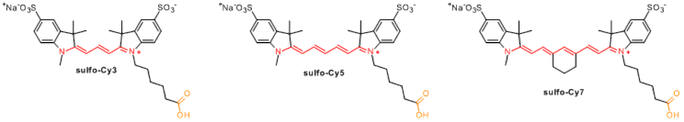 Structures of sulfonated cyanine dyes from Lumiprobe
