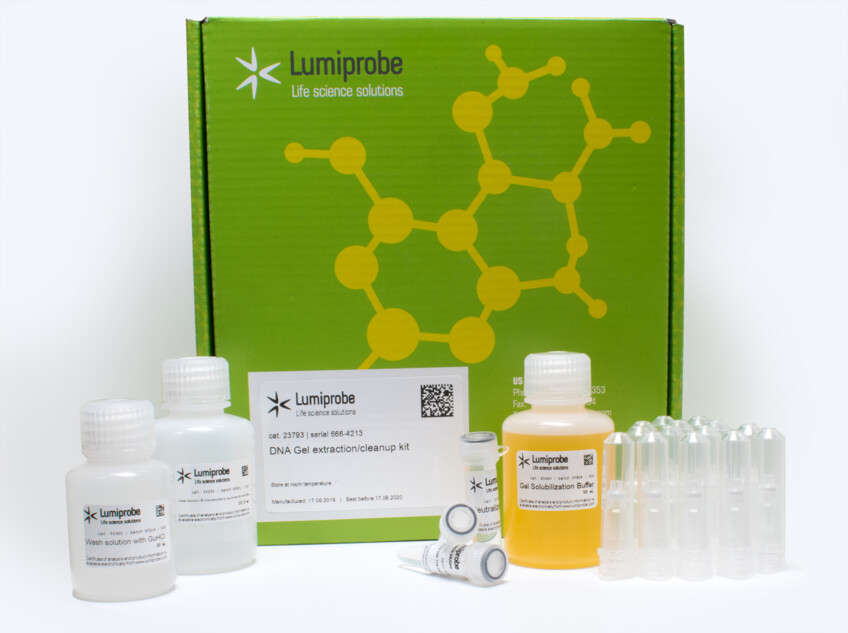 LumiPure DNA Gel Extraction Kit, 23793